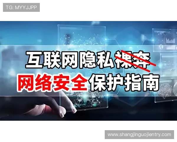 安全保障升级，PG娱乐官网登录确保玩家账号信息安全与隐私保护的详细措施